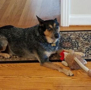 Meet your Posher, Deanna